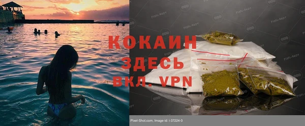 гашиш Богданович
