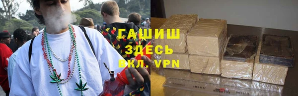 гашиш Богданович