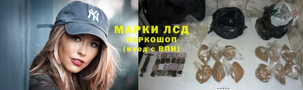 гашиш Богданович