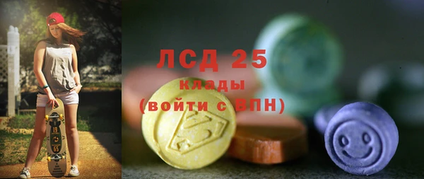 spice Богородск