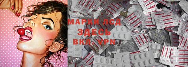 spice Богородск