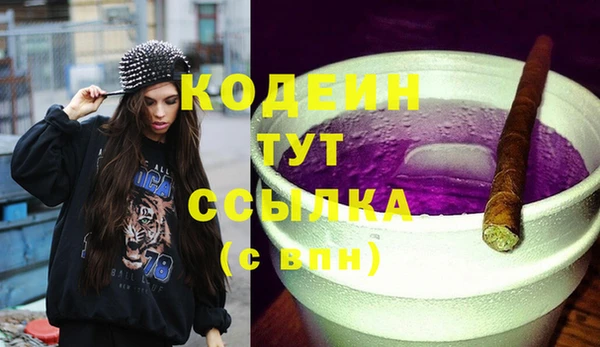 гашиш Богданович