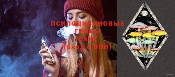 гашиш Богданович