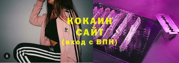 гашиш Богданович